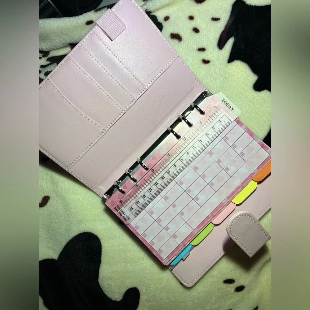 ✨BRAND NEW PINK BUDGET PLANNER✨